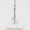 BRACCIALE