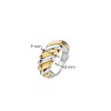 ANELLO2